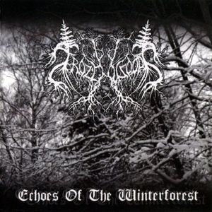 Echoes of the Winterforest