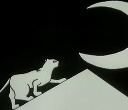 image-https://media.senscritique.com/media/000004837939/0/tale_about_the_cat_and_the_moon.jpg