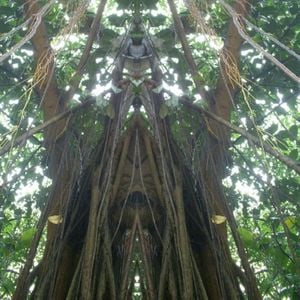 Teispoolsus (EP)