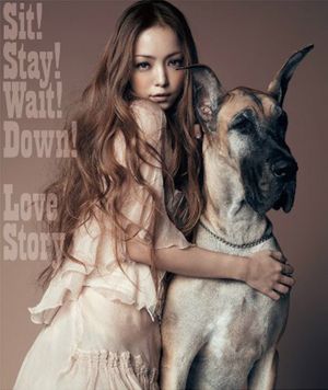 Sit! Stay! Wait! Down! / Love Story (Single)