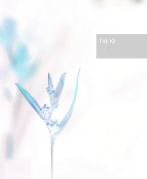 hana