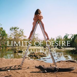 Limits of Desire