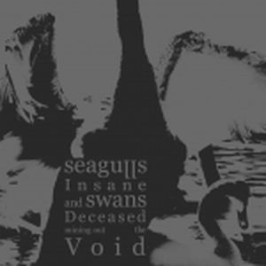 Seagulls Insane and Swans Deceased Mining Out the Void