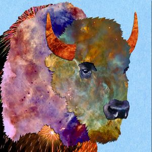 Bison EP (EP)