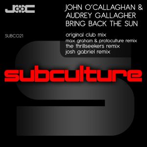 Bring Back the Sun (Josh Gabriel remix)
