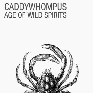 Age of Wild Spirits (Single)
