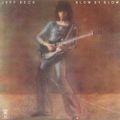 Pochette Blow by Blow Pochette Blow by Blow