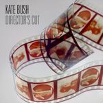 Pochette Director’s Cut
