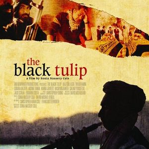 The Black Tulip (OST)