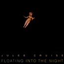 Pochette Floating Into the Night