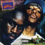 Pochette The Infamous