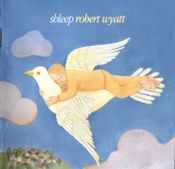 Pochette Shleep Pochette Shleep