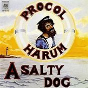 Pochette A Salty Dog Pochette A Salty Dog