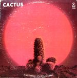 Pochette Cactus