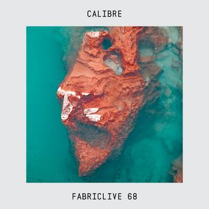 She's on Fire (Calibre remix)