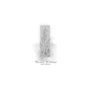 Quiet Windows