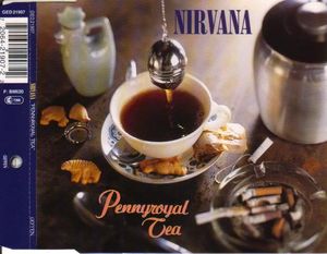 Pennyroyal Tea (Single)