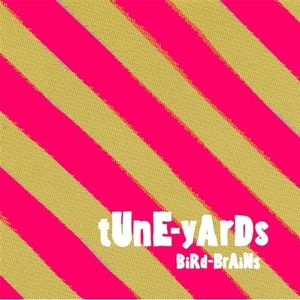 BiRd-BrAiNs
