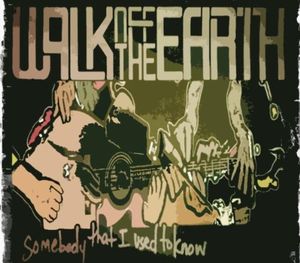 Somebody That I Used to Know (Single)