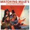 Matching Mole’s Little Red Record