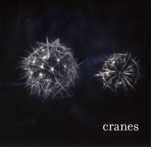 Cranes