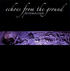 Echoes
