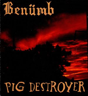 Benumb / Pig Destroyer (EP)