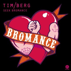 Seek Bromance (Avicii vocal extended)