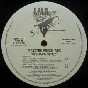 How Many Styles (LP version)