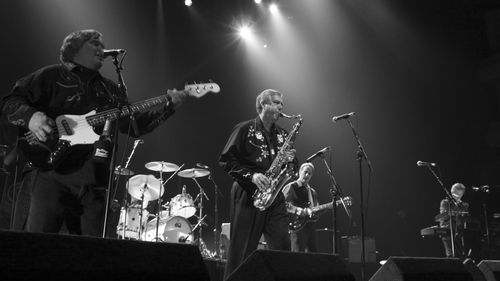 Cover The Sonics