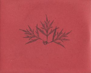 Language of Red Goats