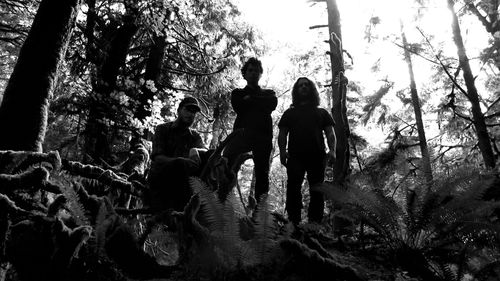 Cover Wolves in the Throne Room