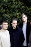 The Maccabees