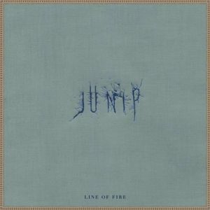 Line of Fire (Single)