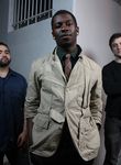 Logo Animals as Leaders