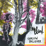 Pochette Shallow Believer (EP)