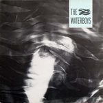Pochette The Waterboys