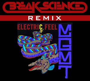 Electric Feel Remix
