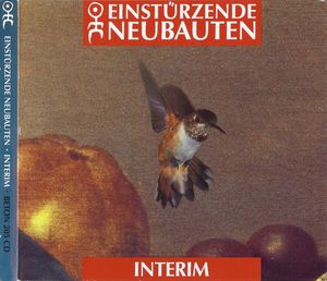 Interim (Single)