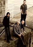 The Pineapple Thief