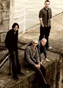 The Pineapple Thief