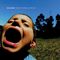 Songs to Scream at the Sun