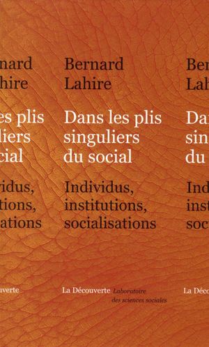 Dans les plis singuliers du social : Individus, institutions, socialisations