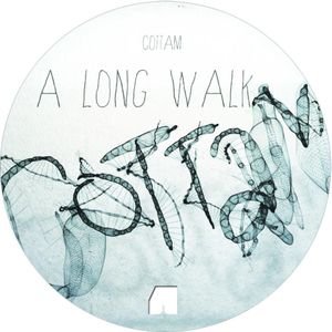 A Long Walk