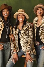 Logo The Pointer Sisters