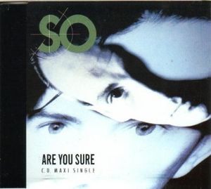 Are You Sure (Single)