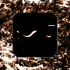 devour (industrial mix)