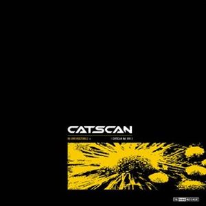 Absolute Confrontation