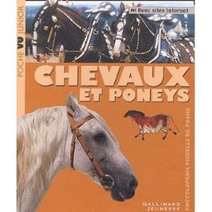 Chevaux et poneys