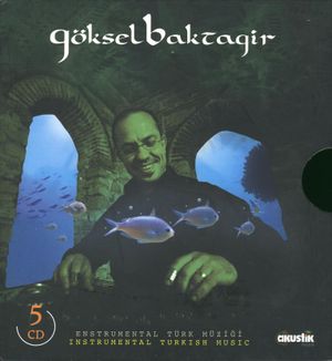 Enstrumental Türk Müziği